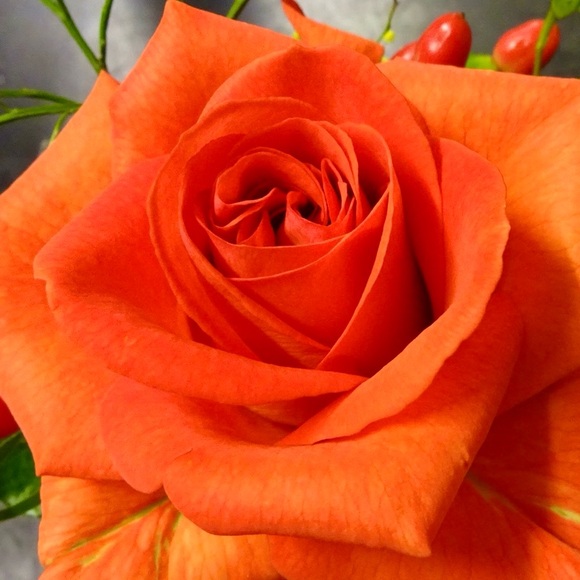 🌼🍎💛 - Picture 2 of 11